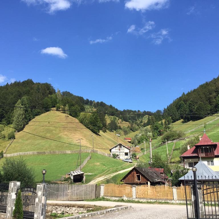 Pensiune Restaurant Piatra Craiului Dîmbovicioara Zewnętrze zdjęcie