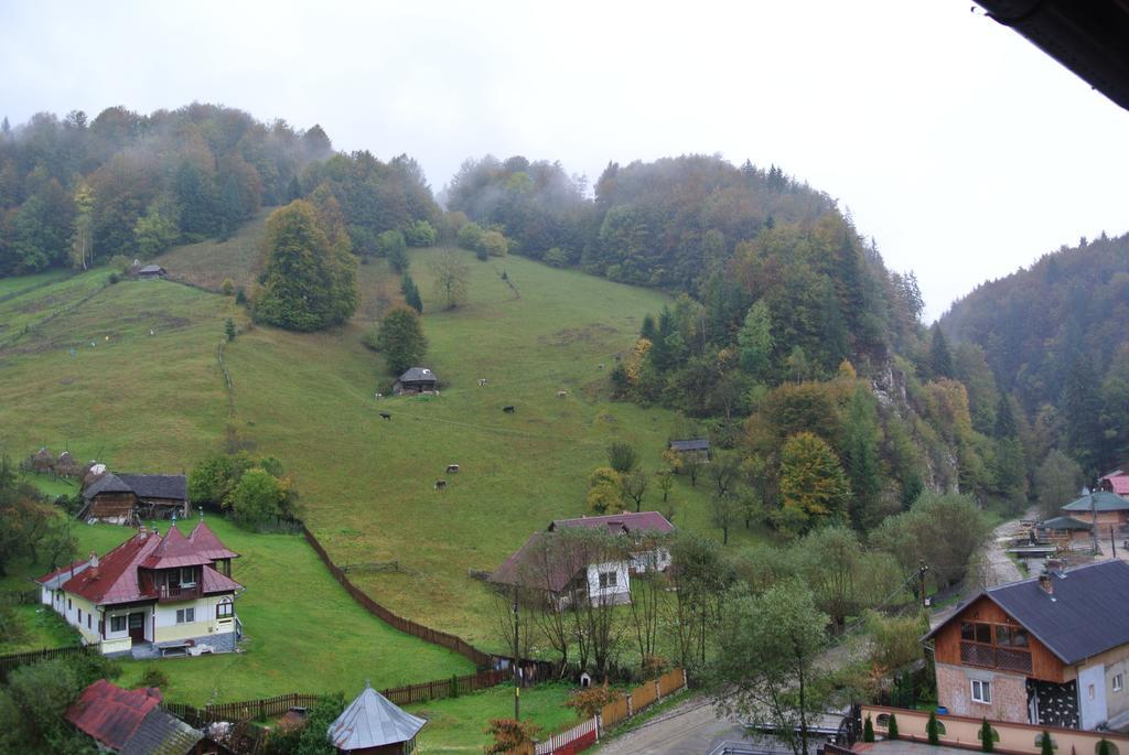 Pensiune Restaurant Piatra Craiului Dîmbovicioara Zewnętrze zdjęcie